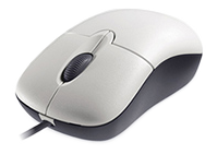 Basic Mouse